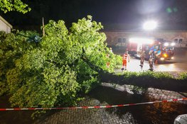 NL alert verzonden vanwege storm, boom omgevallen in Naarden