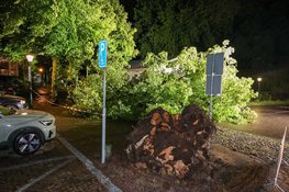 NL alert verzonden vanwege storm, boom omgevallen in Naarden