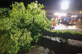 NL alert verzonden vanwege storm, boom omgevallen in Naarden