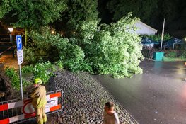 NL alert verzonden vanwege storm, boom omgevallen in Naarden