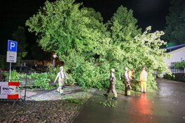 NL alert verzonden vanwege storm, boom omgevallen in Naarden
