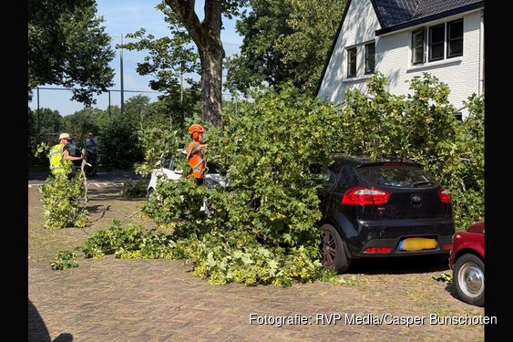 Grote tak breekt af en valt op twee auto's