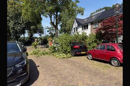 Grote tak breekt af en valt op twee auto's
