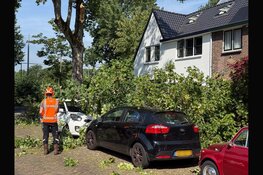 Grote tak breekt af en valt op twee auto's