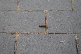 Man aangehouden in Bussum door agenten in kogelwerende vesten na schietpartij in Wormerveer