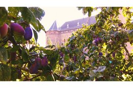 Van moestuin tot museumzaal: Zomer in het Muiderslot