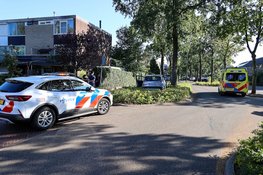 Bestuurder raakt onwel en rijdt de bosjes in