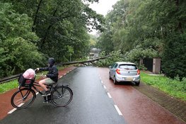 Flinke boom valt op de weg in Laren, verkeer moet omrijden