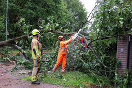 Flinke boom valt op de weg in Laren, verkeer moet omrijden