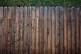 Tuin vernieuwen in het Gooi? Dit zijn belangrijke aandachtspunten