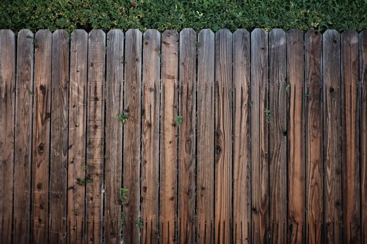 Tuin vernieuwen in het Gooi? Dit zijn belangrijke aandachtspunten