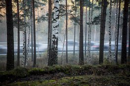 Zeven opties tegen snelweglawaai A1 bij Naarderwoonbos