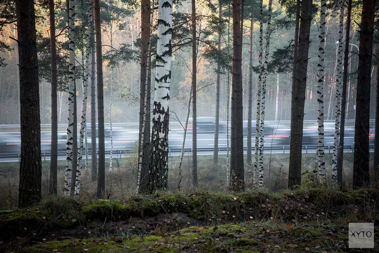Zeven opties tegen snelweglawaai A1 bij Naarderwoonbos