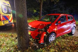 Auto botst tegen boom op Het Merk in Huizen: bestuurder naar ziekenhuis, hond blijft ongedeerd