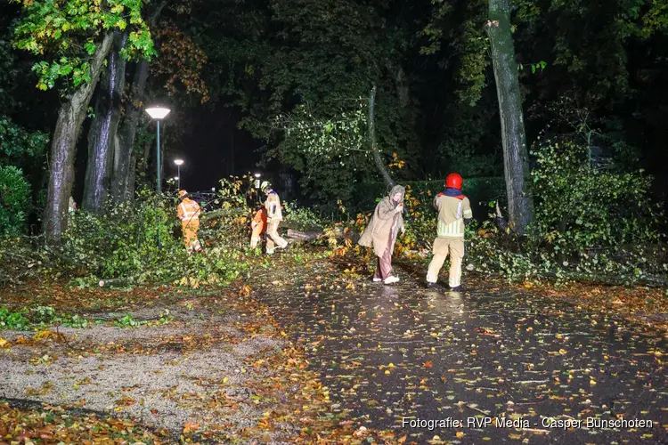 Boom uit tuin van Linda de Mol waait op de weg in Huizen