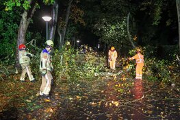 Boom uit tuin van Linda de Mol waait op de weg in Huizen