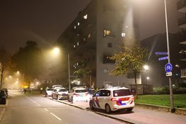 Meerdere aanhoudingen na steekincident aan Larenseweg in Hilversum