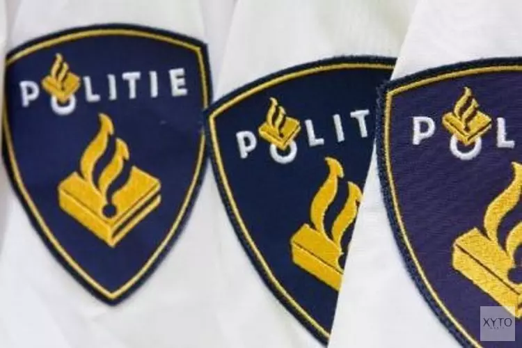 Twee jongens (19) aangehouden voor mishandeling van agent die te hulp schoot na crash