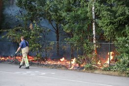 Stuk natuur afgebrand in Hilversum