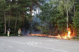 Stuk natuur afgebrand in Hilversum
