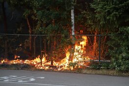 Stuk natuur afgebrand in Hilversum