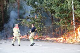 Stuk natuur afgebrand in Hilversum