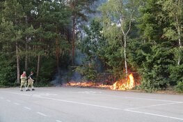 Stuk natuur afgebrand in Hilversum
