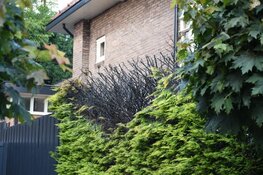 Brand in heg door onkruidbestrijding