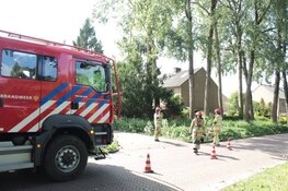 Veel afgebroken bomen en takken door storm
