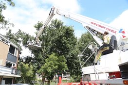 Veel afgebroken bomen en takken door storm