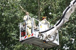 Veel afgebroken bomen en takken door storm