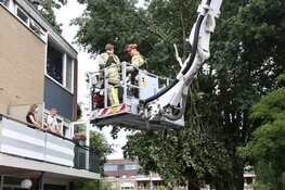 Veel afgebroken bomen en takken door storm