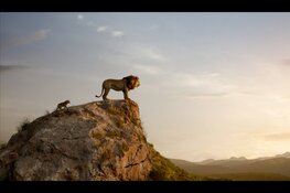 Speciale “prikkelvrije” voorstelling van The Lion King bij Vue Hilversum