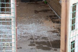 Brand in leegstaand schoolgebouw in Naarden