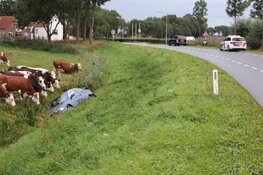 Auto in greppel gereden in Nederhorst den Berg