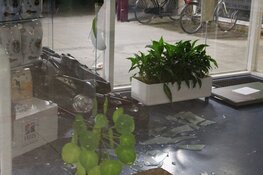 Pizzabezorger rijdt dierenkliniek in