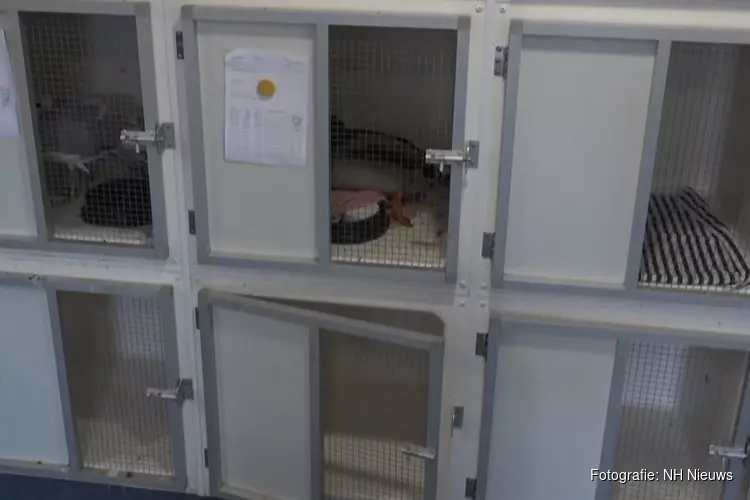 Minister belooft oplossing voor noodlijdend Naarder vogelhospitaal