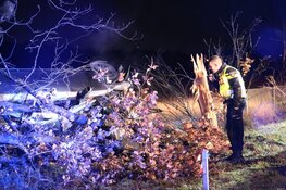 Gewonde na botsing op Franse Kampweg Bussum