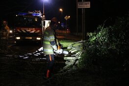 Grote omgevallen boom zorgt voor hinder in Hilversumse Meent