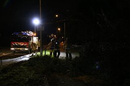 Grote omgevallen boom zorgt voor hinder in Hilversumse Meent