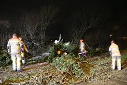 Grote omgevallen boom zorgt voor hinder in Hilversumse Meent