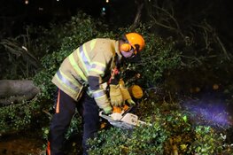 Grote omgevallen boom zorgt voor hinder in Hilversumse Meent