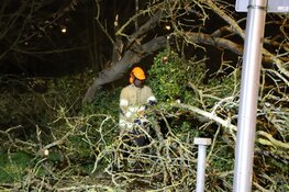 Grote omgevallen boom zorgt voor hinder in Hilversumse Meent