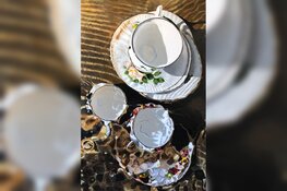 Kunstenaar Hannelore Houdijk wint ‘Schilderij van het Jaar’