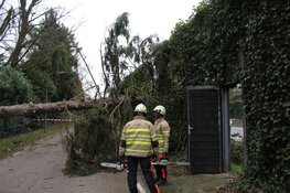 Boom komt terecht op A1