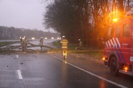 Boom komt terecht op A27