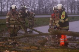 Boom komt terecht op A27