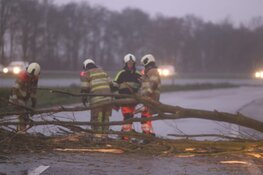 Boom komt terecht op A27
