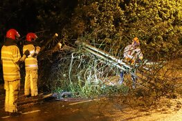 Boom blokkeert weg in Bussum