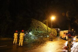 Boom blokkeert weg in Bussum